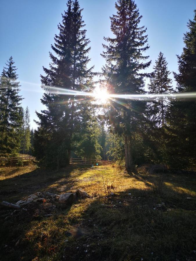 Snowhite Jahorina Villa Exteriör bild