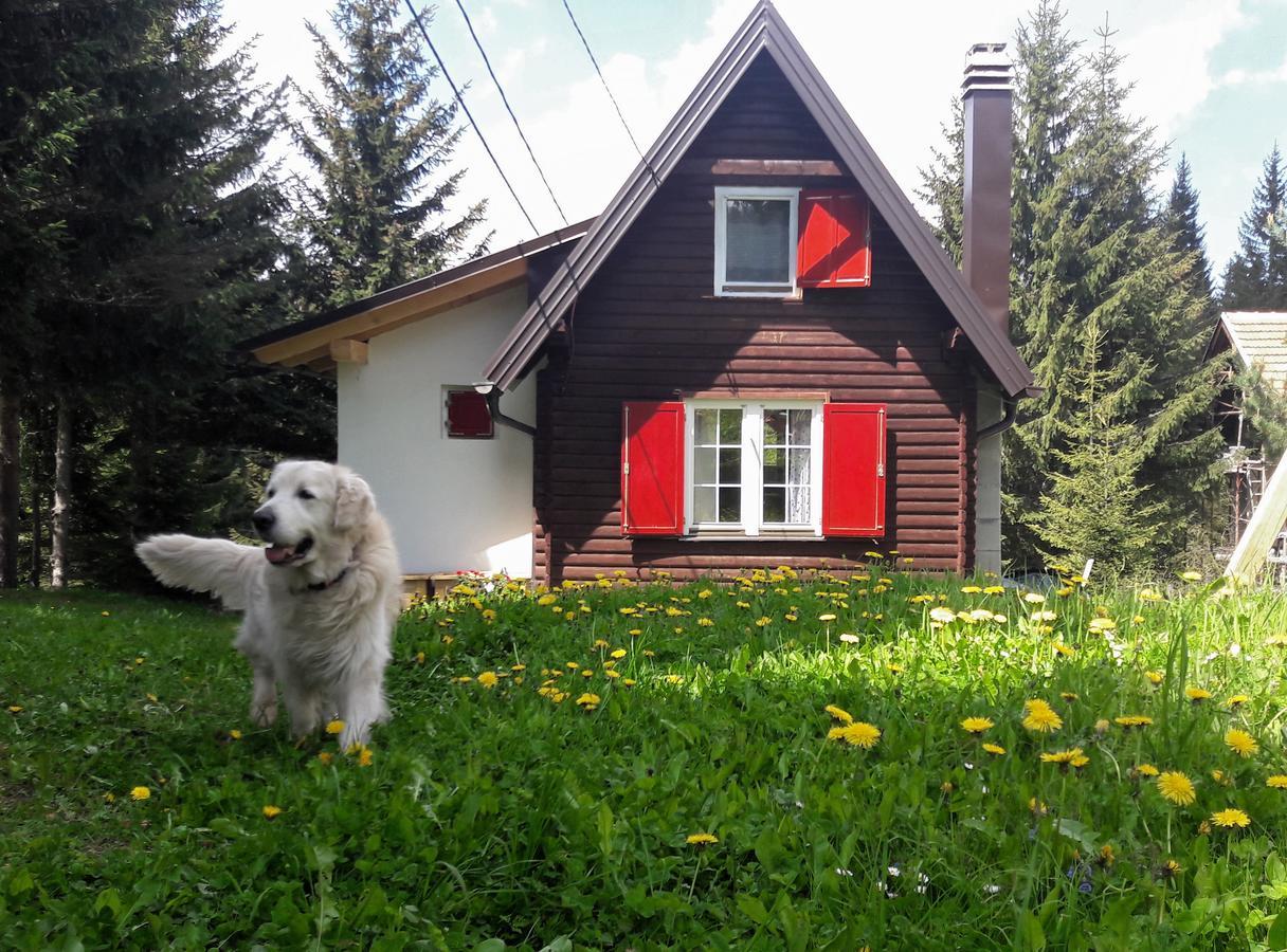 Snowhite Jahorina Villa Exteriör bild
