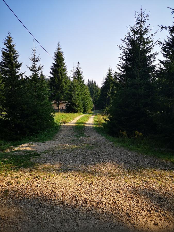 Snowhite Jahorina Villa Exteriör bild